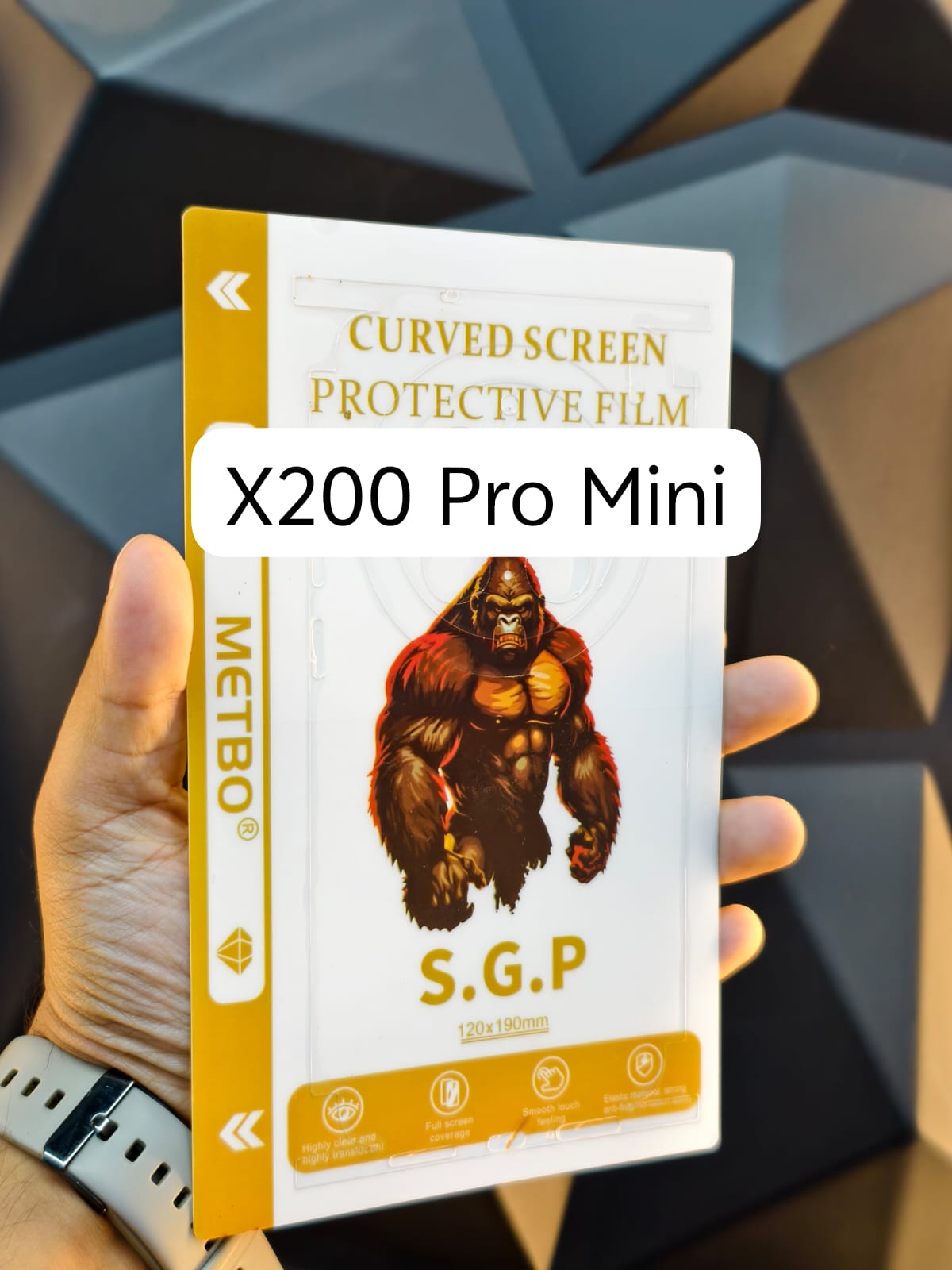 Vivo X200 Pro Mini Full Body Back Poly Matte